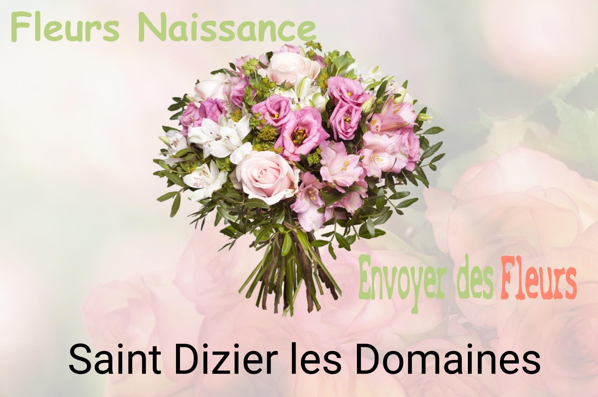 Bouquet de fleurs de naissance livré à Saint-Dizier-les-Domaines